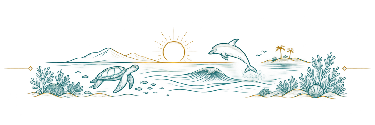 Ilustracja liniowa rafy koralowej, żółwia i delfina na wybrzeżu Marsa Alam